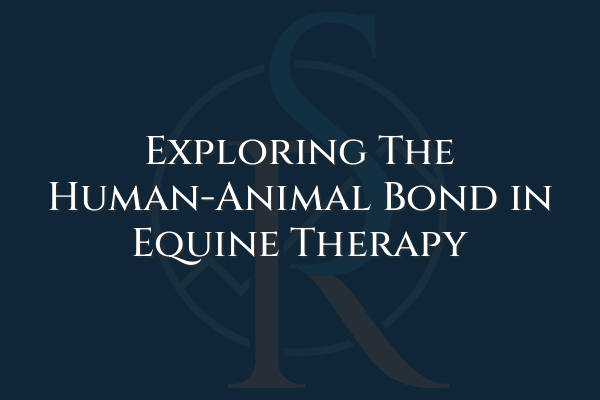 Discover how equine therapy harnesses the unique bond between humans and horses to improve physical and emotional well-being, providing peace, stress relief, and personal growth.