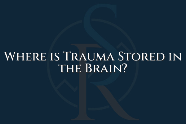 Discover how trauma affects the brain and learn about the specific brain structures involved. Find out how treatment can help heal and rewire the brain to reduce the impact of trauma on your life.